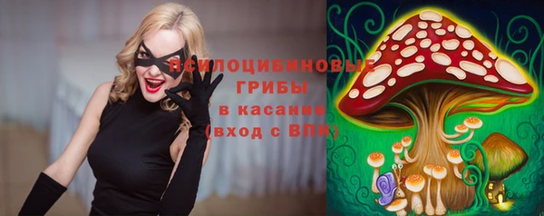 мяу мяу мука Алексин