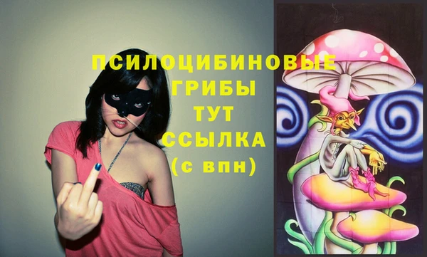мяу мяу мука Алексин