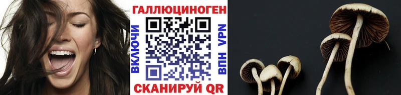 Галлюциногенные грибы прущие грибы  ОМГ ОМГ как войти  Болгар 